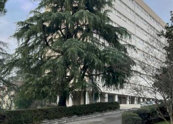 Zona - Quadrilocale via Pietro Pomponazzi, Bologna (zona Mazzini) - foto 2
