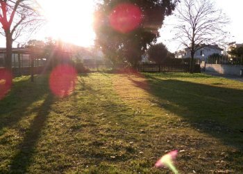 Giardino - Villa Anzio - foto 4