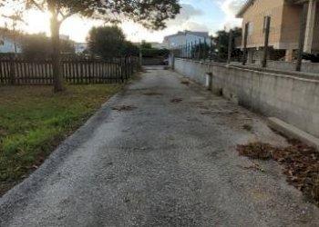 Giardino - Villa Anzio - foto 8