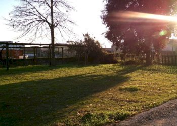 Terreno - Villa Anzio - foto 12