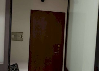 PORTA INGRESSO - Terreno non edificabile via Guastalla, 9, Torino (zona Vanchiglia) - foto 11