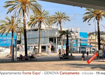 Zona - Trilocale Genova (zona Centro Storico) - foto 34