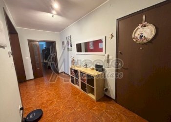 IMG_2220.jpg - Appartamento Occhiobello - foto 2