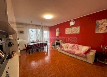 IMG_2223.jpg - Appartamento Occhiobello - foto 5