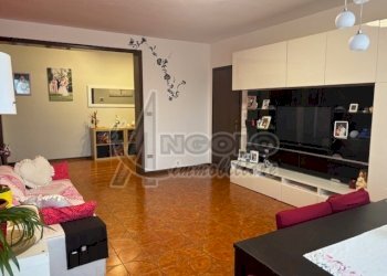 IMG_2226.jpg - Appartamento Occhiobello - foto 8