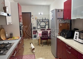 IMG_2233.jpg - Appartamento Occhiobello - foto 13