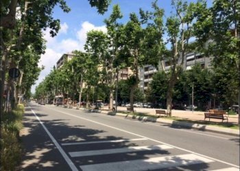 viale - Locale Commerciale Viale Giovanni XXIII 5, Beinasco - foto 2