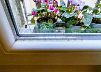 WhatsApp Image 2026-02-12 at 16.23.0.jpeg - Appartamento Via Patriarcato, Padova - foto 17