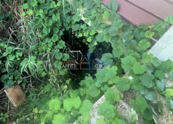 IMG_2228.jpg - Villa Via del Fescione 1, Massa - foto 7