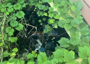 IMG_2229.jpg - Villa Via del Fescione 1, Massa - foto 8