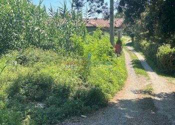 IMG_2230.jpg - Villa Via del Fescione 1, Massa - foto 9