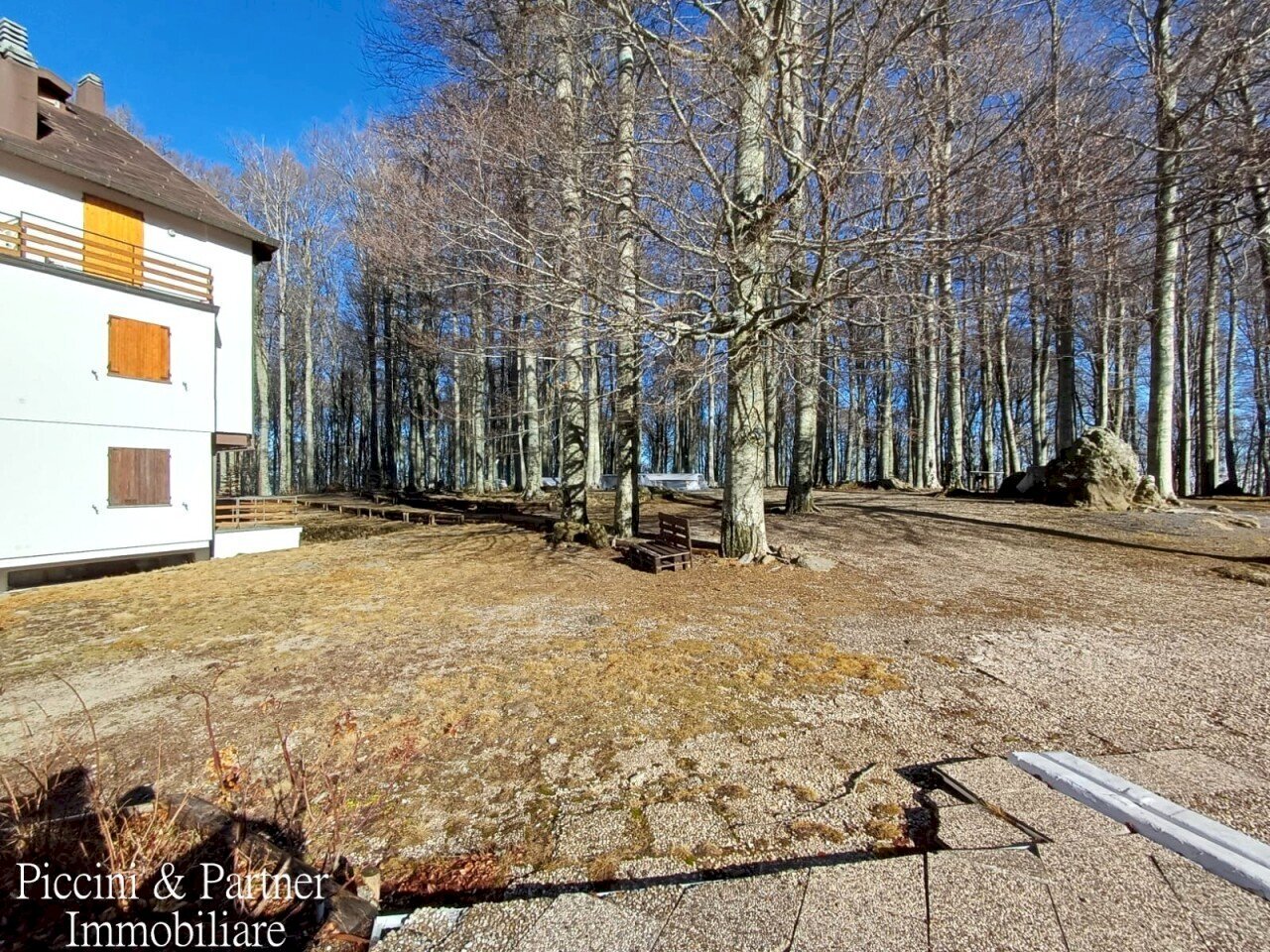03.jpg - Bilocale Prato della Marsiliana Monte Amiata, Seggiano - foto 3