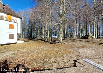 03.jpg - Bilocale Prato della Marsiliana Monte Amiata, Seggiano - foto 3