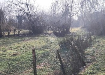 Rustico Vicolo Delle Scuole, Scalenghe - foto 10