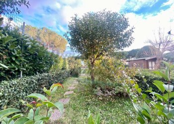 photo_51_2026-02-12_09-56-28.jpg - Appartamento Via Salvatore di Giacomo, Rosignano Marittimo - foto 6