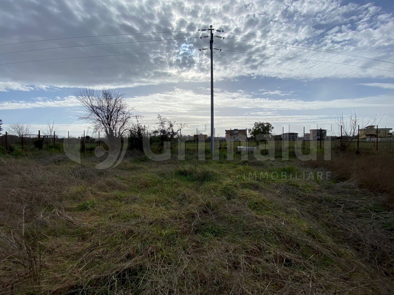 WhatsApp Image 2026-02-03 at 11.54.52 (1).JPG - Agricultural land Giugliano in Campania - photo 3