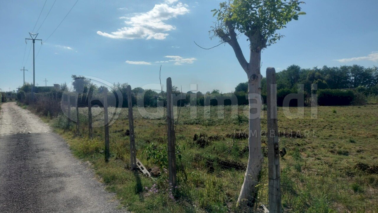 WhatsApp Image 2026-01-24 at 11.17.19 (1).JPG - Agricultural land Giugliano in Campania - photo 1