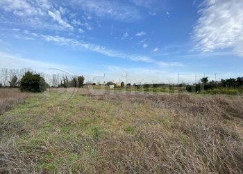 WhatsApp Image 2026-02-03 at 11.54.52.JPG - Terreno agricolo Giugliano in Campania - foto 2