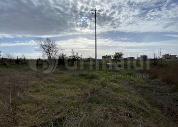 WhatsApp Image 2026-02-03 at 11.54.52 (1).JPG - Terreno agricolo Giugliano in Campania - foto 3