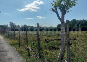 WhatsApp Image 2026-01-24 at 11.17.19 (1).JPG - Agricultural land Giugliano in Campania - photo 1