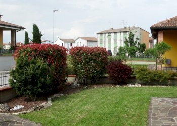 DSC05320.JPG - Villa Via della Repubblica 255, Guarda Veneta - foto 4