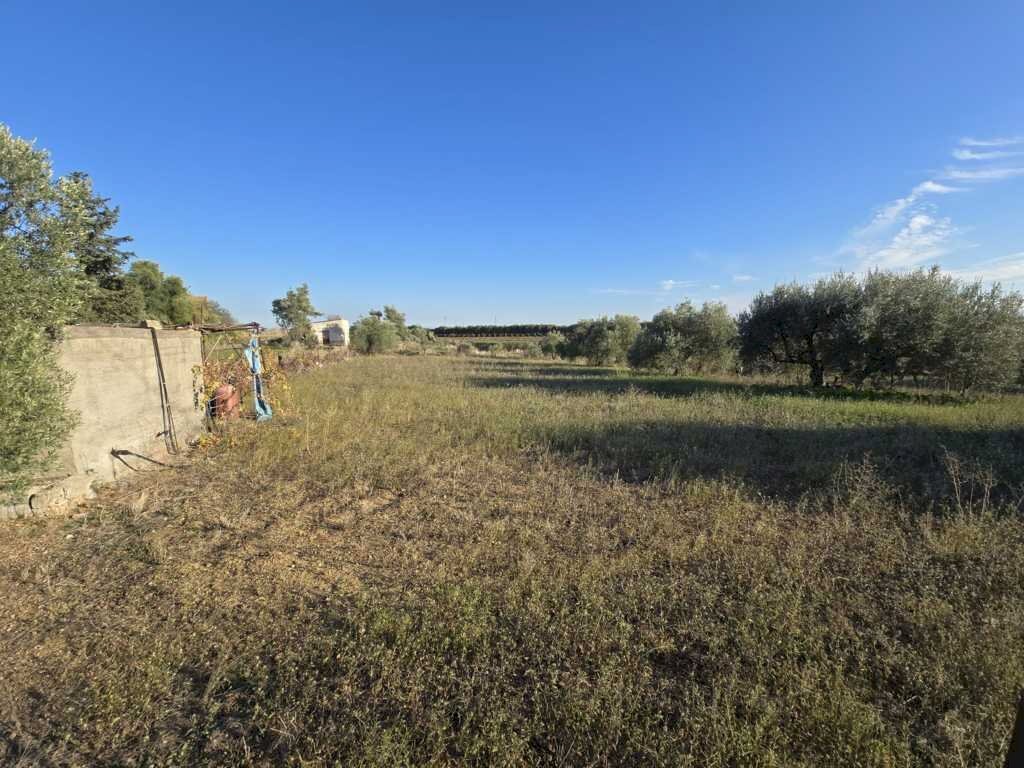2.jpg - Terreno agricolo Via San Nicola 19, Motta Sant'Anastasia - foto 2