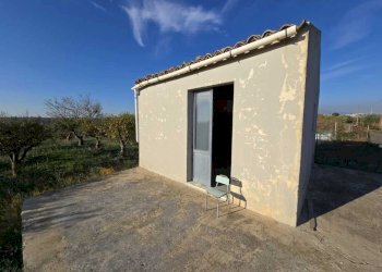 4.jpg - Terreno agricolo Via San Nicola 19, Motta Sant'Anastasia - foto 4