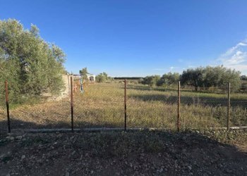 5.jpg - Terreno agricolo Via San Nicola 19, Motta Sant'Anastasia - foto 5