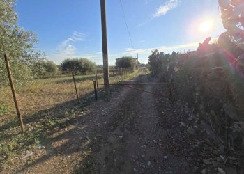 6.jpg - Terreno agricolo Via San Nicola 19, Motta Sant'Anastasia - foto 6