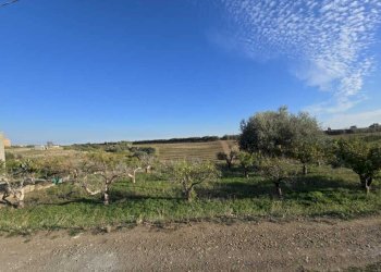 7.jpg - Terreno agricolo Via San Nicola 19, Motta Sant'Anastasia - foto 7