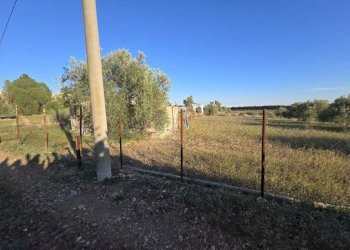 8.jpg - Terreno agricolo Via San Nicola 19, Motta Sant'Anastasia - foto 8