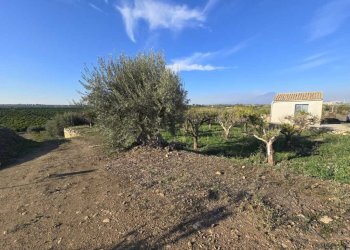 10.jpg - Terreno agricolo Via San Nicola 19, Motta Sant'Anastasia - foto 10