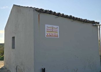 12.jpg - Terreno agricolo Via San Nicola 19, Motta Sant'Anastasia - foto 12