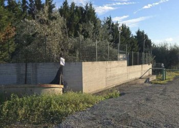 13.jpg - Terreno agricolo Via San Nicola 19, Motta Sant'Anastasia - foto 13