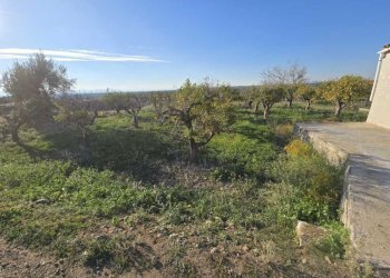 14.jpg - Terreno agricolo Via San Nicola 19, Motta Sant'Anastasia - foto 14