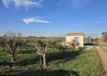 16.jpg - Terreno agricolo Via San Nicola 19, Motta Sant'Anastasia - foto 16