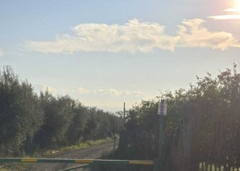 20.jpg - Terreno agricolo Via San Nicola 19, Motta Sant'Anastasia - foto 20