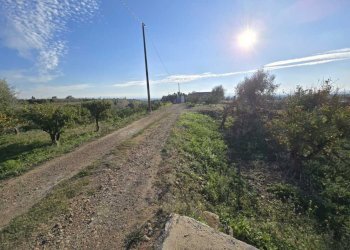 23.jpg - Terreno agricolo Via San Nicola 19, Motta Sant'Anastasia - foto 23