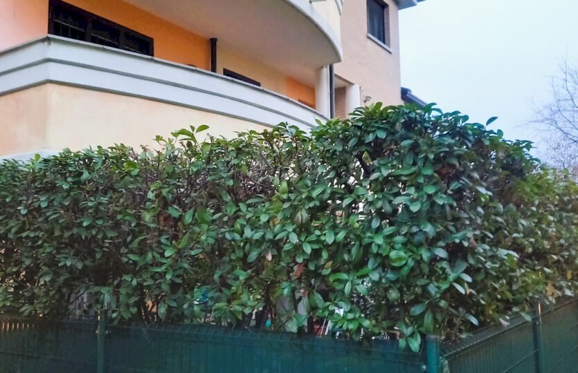 Trilocale Via Carlo Porta, Cambiago - foto 2