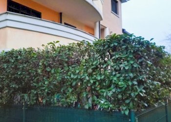 Trilocale Via Carlo Porta, Cambiago - foto 2