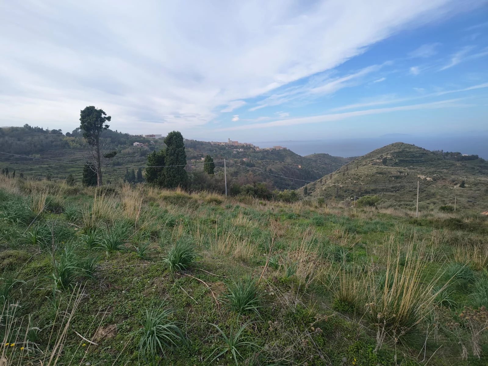 Terreno agricolo Villaggio Gesso - c.da romana, Messina - foto 2