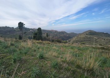 Terreno agricolo Villaggio Gesso - c.da romana, Messina - foto 2