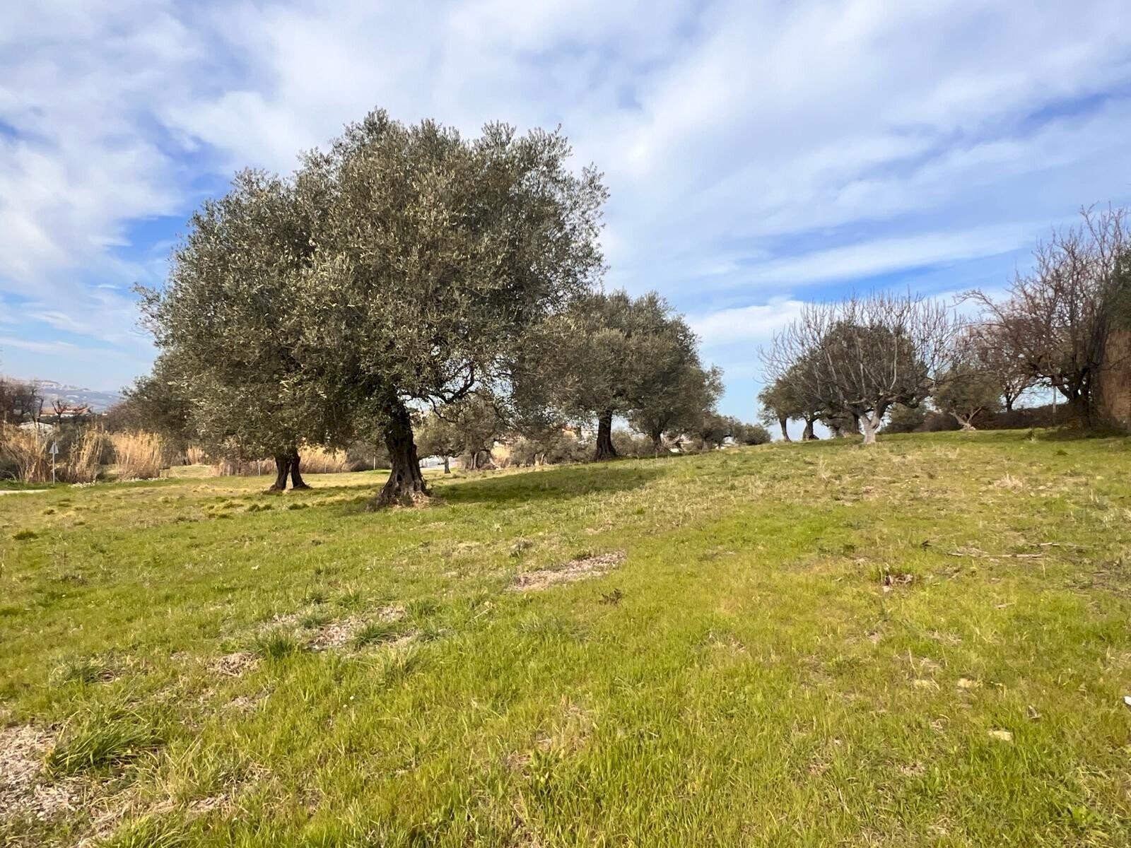 Building land Contrada Colle Vento, Montesilvano - photo 1
