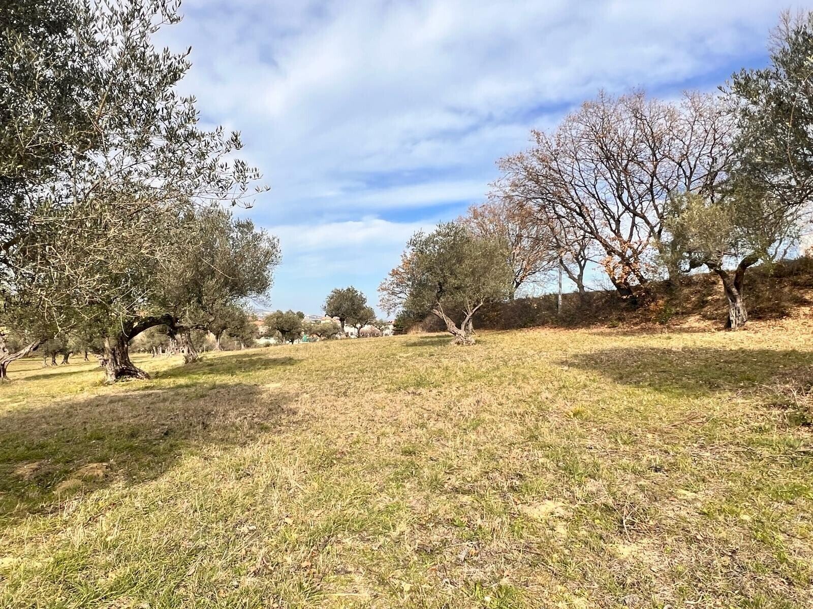 Building land Contrada Colle Vento, Montesilvano - photo 2