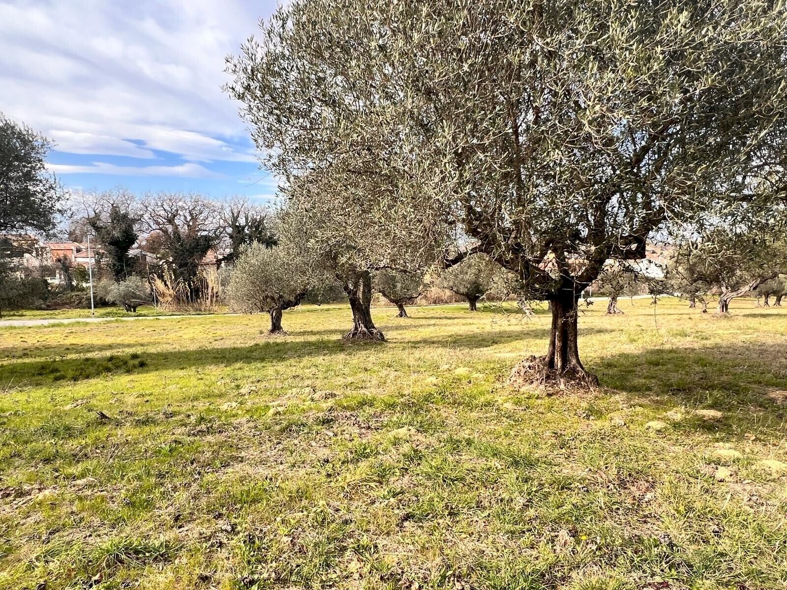 Building land Contrada Colle Vento, Montesilvano - photo 3