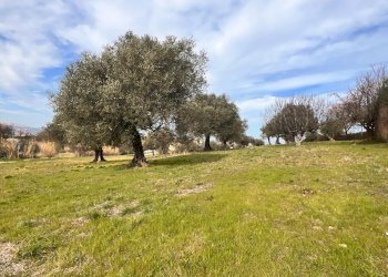 Building land Contrada Colle Vento, Montesilvano - photo 1