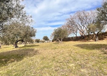 Building land Contrada Colle Vento, Montesilvano - photo 2