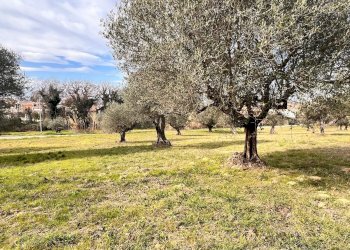 Building land Contrada Colle Vento, Montesilvano - photo 3