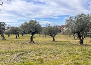 Building land Contrada Colle Vento, Montesilvano - photo 4