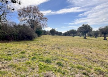 Building land Contrada Colle Vento, Montesilvano - photo 5
